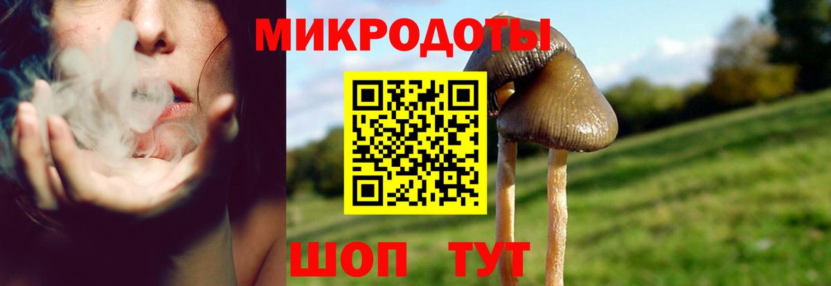 Галлюциногенные грибы прущие грибы Карпинск